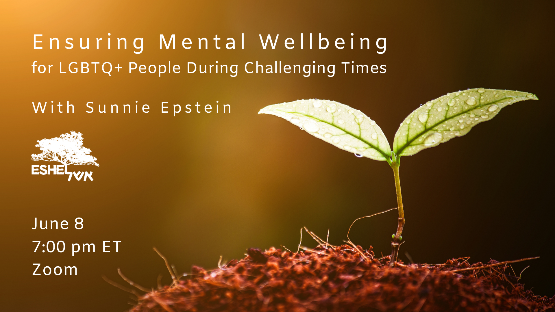 Ensuring Mental Wellbeing for LGBTQ+ People During Challenging Times event graphic