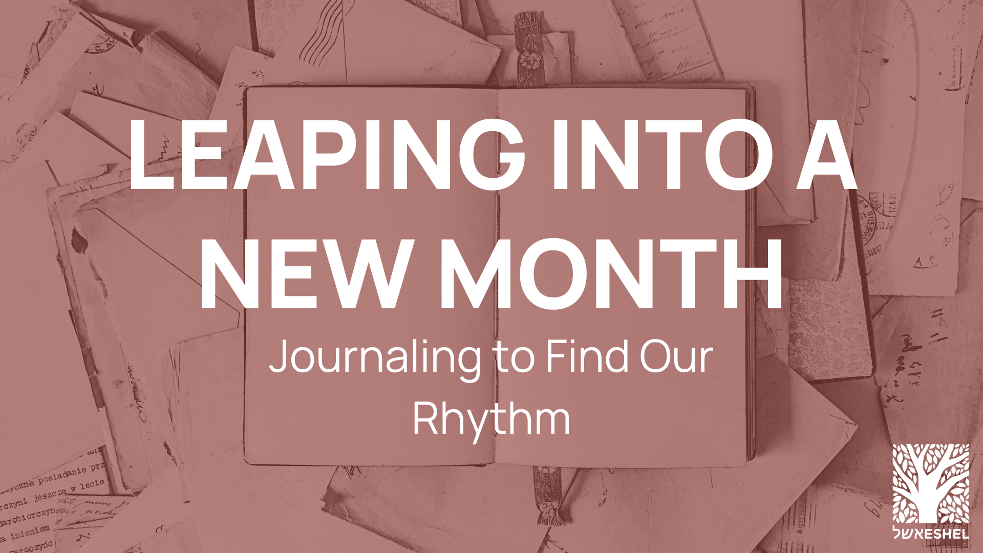Leaping into a New Month: Journaling to Find Our Rhythm