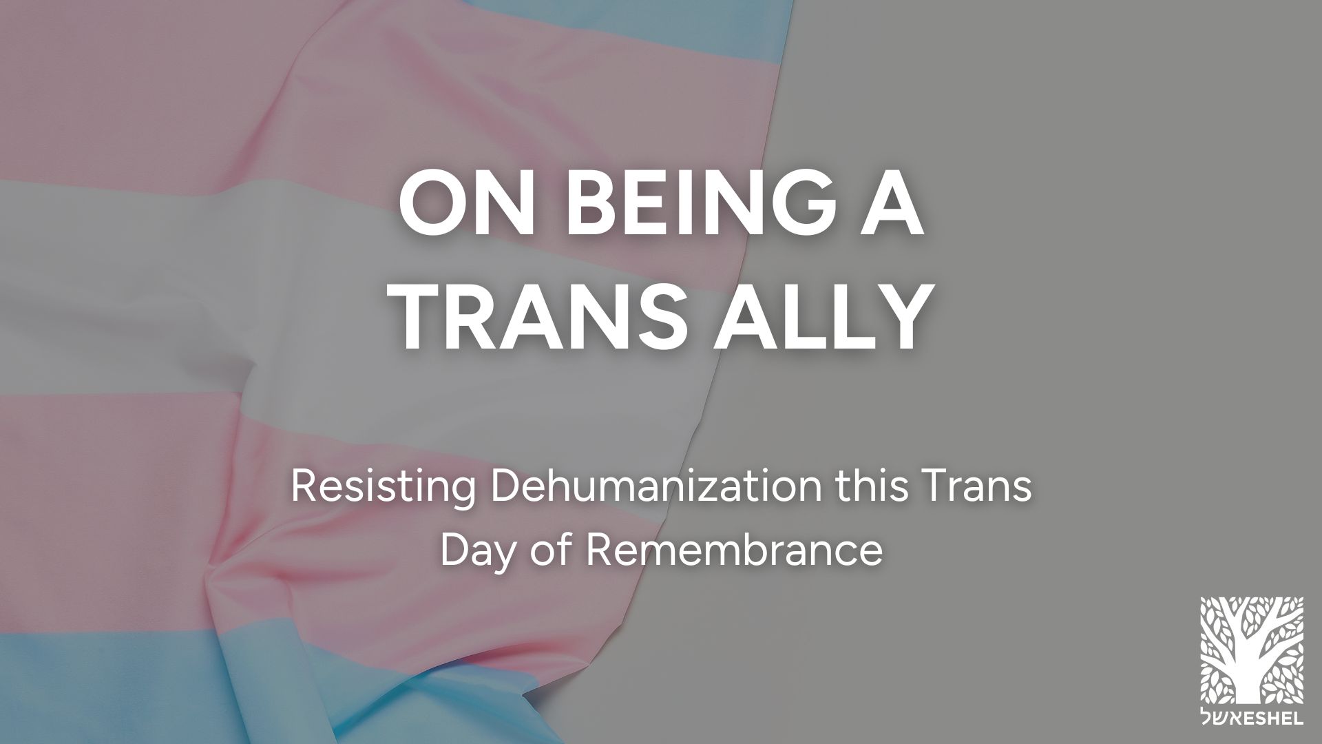On Being a Trans Ally: Resisting Dehumanization this Trans Day of Remembrance