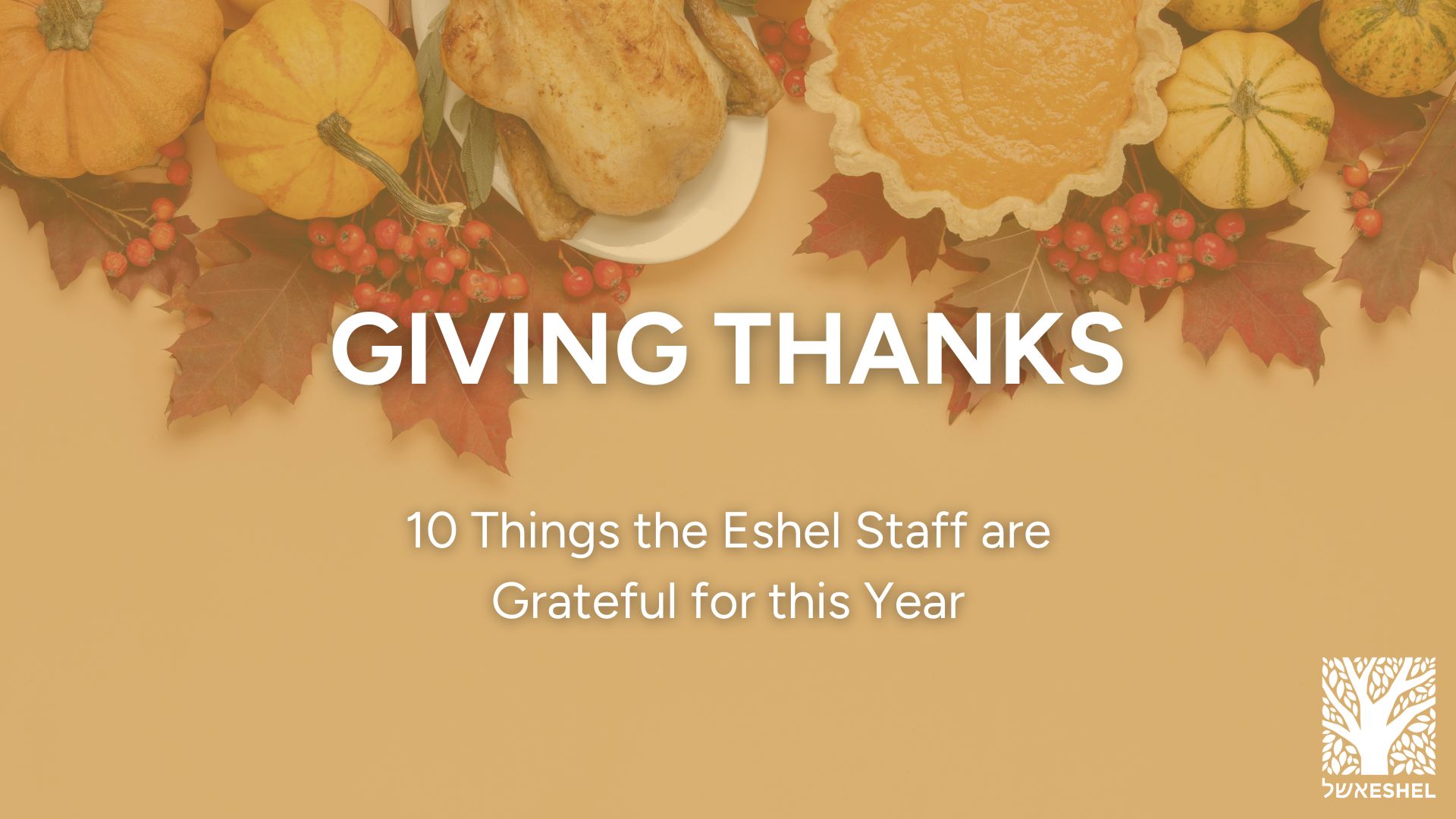 Giving Thanks | 10 Things the Eshel Staff are Grateful for this Year