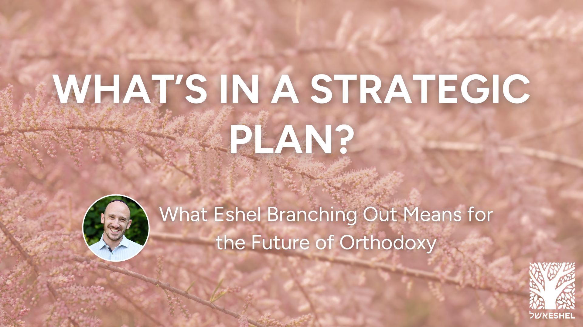 What's in a Strategic Plan? What Eshel Branching Out Means for the Future of Orthodoxy