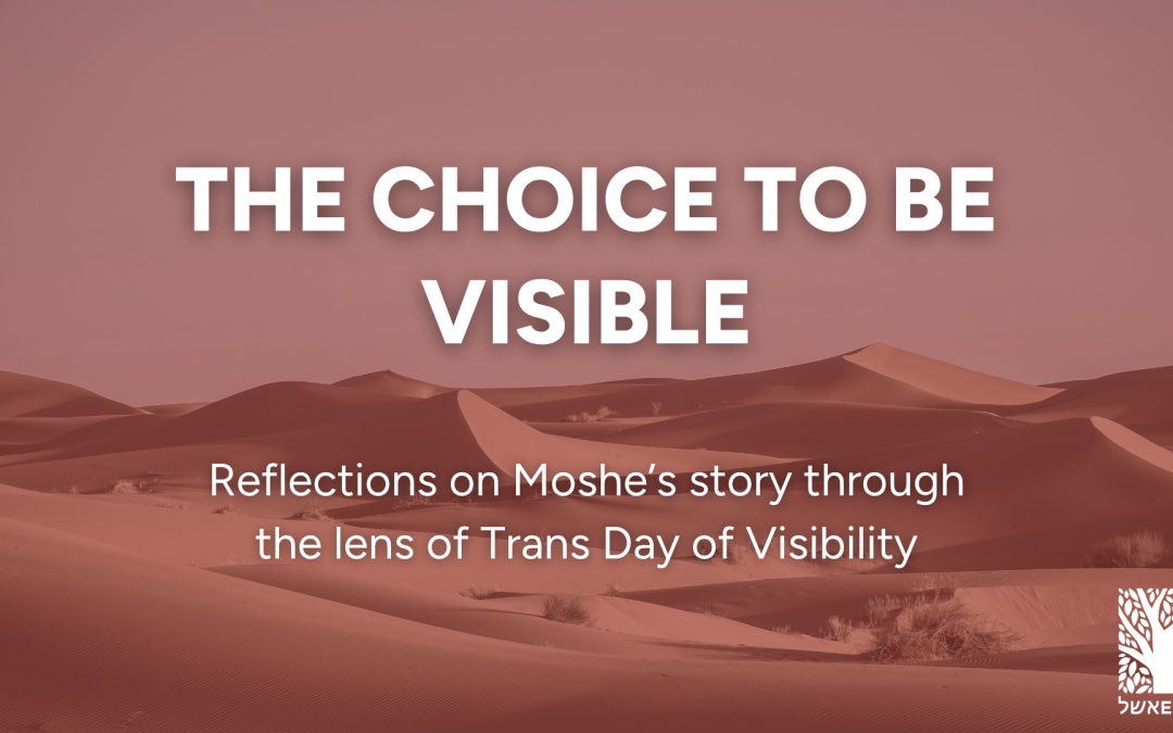 The Choice to be Visible