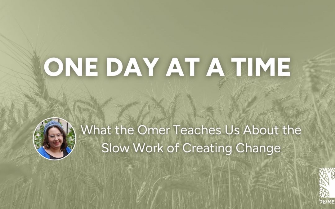 One Day at a Time