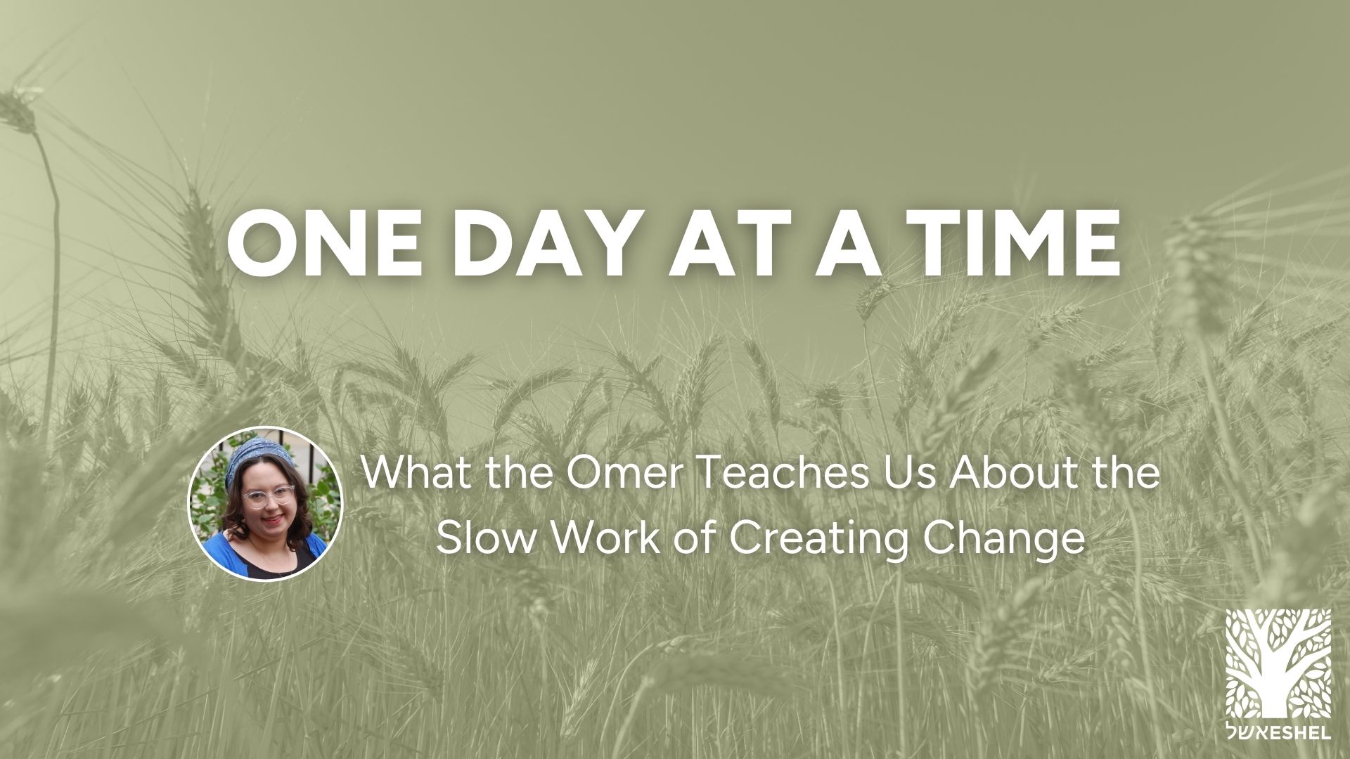 One Day at a Time: What the Omer Teaches Us About the Slow Work of Creating Change