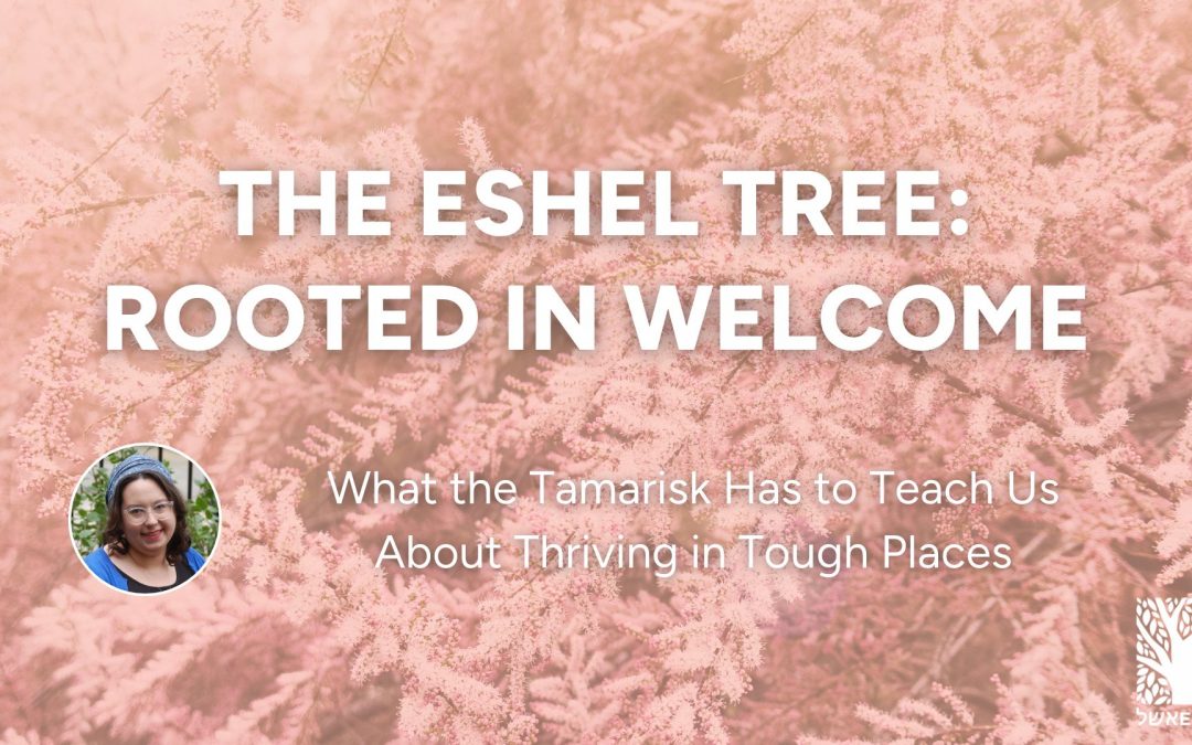 The Eshel Tree: Rooted in Welcome